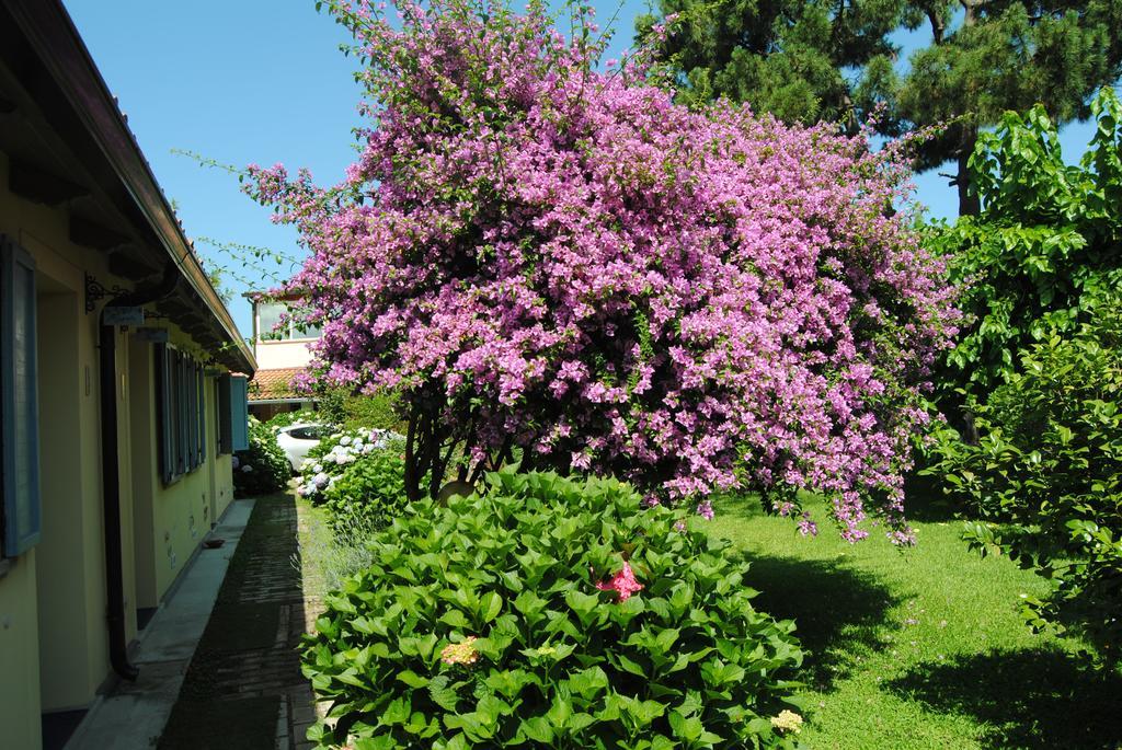 Villa Hermes 圣费尔迪南多 外观 照片